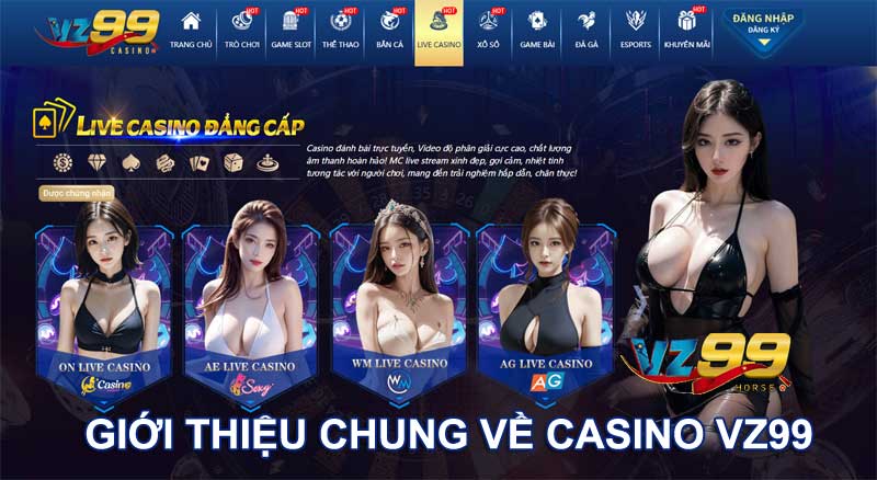 Giới thiệu chúng về Casino VZ99