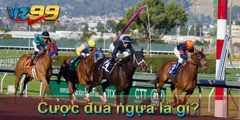 Cược đua ngựa là gì?