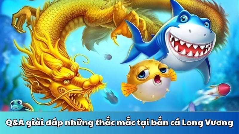 Q&A giải đáp những thắc mắc tại bắn cá Long Vương