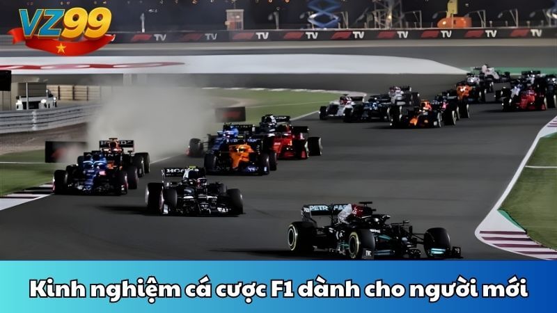 Kinh nghiệm cá cược F1 dành cho người mới